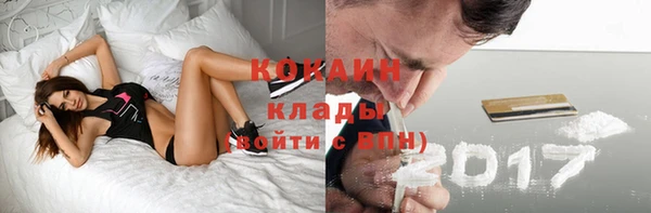 ГАЛЛЮЦИНОГЕННЫЕ ГРИБЫ Костерёво