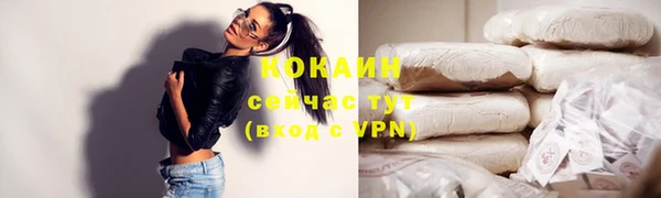 ГАЛЛЮЦИНОГЕННЫЕ ГРИБЫ Костерёво