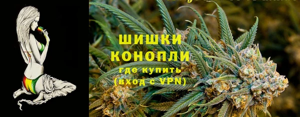 ГАЛЛЮЦИНОГЕННЫЕ ГРИБЫ Костерёво
