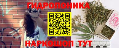 прущие грибы Краснокаменск