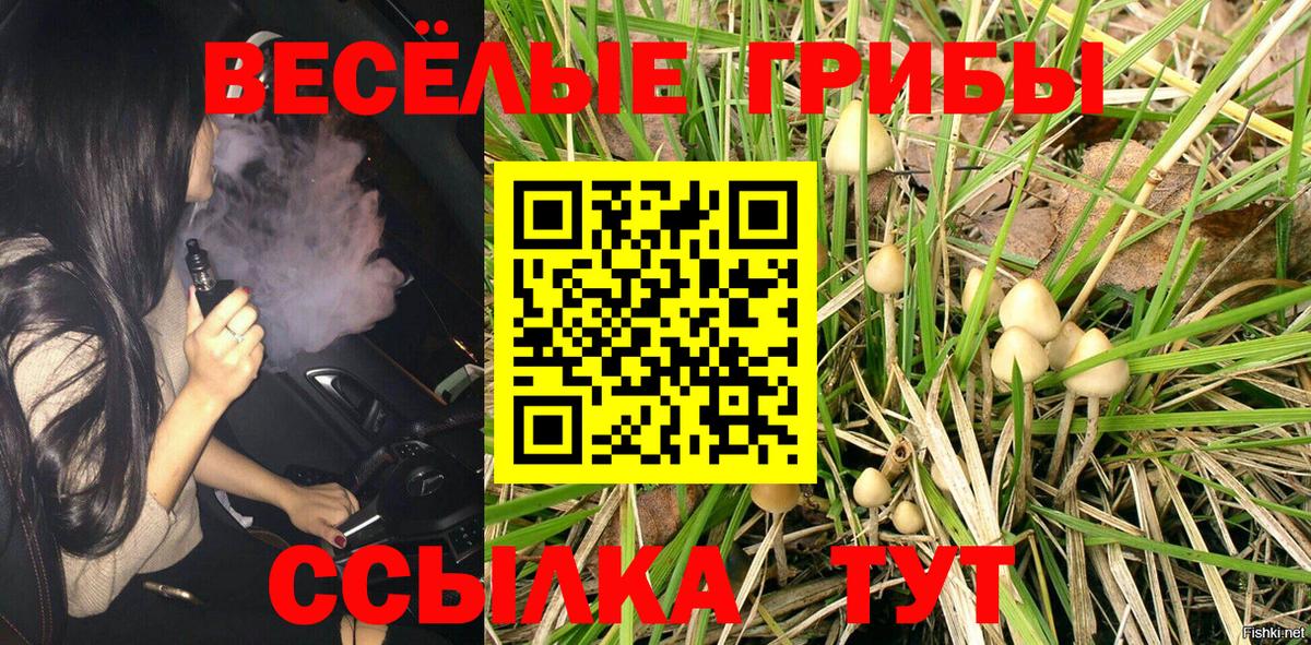 Галлюциногенные грибы мухоморы  Вход с VPN  Михайловка 