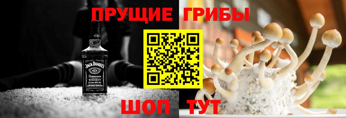 Галлюциногенные грибы GOLDEN TEACHER  Псилоцибиновые грибы GOLDEN TEACHER  Михайловка 