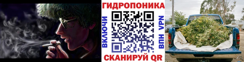дарнет шоп  Михайловка  Каннабис SATIVA & INDICA 